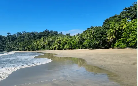 Pacific Island Wilderness Estate Land/Plots Beach Front Panoramic View, 0 bedrooms in Isla Parida, San Lorenzo, Chiriquí best for sale For Super Rich