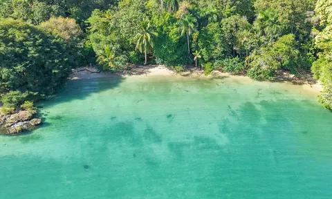 Oceanfront Wilderness Land/Plots Beach Front Sea View, ---- bedrooms in Bluff–Drago, Isla Colón, Bocas del Toro buy for sale For Super Rich