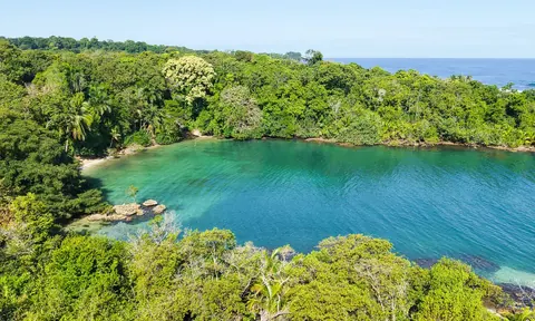 Oceanfront Wilderness Land/Plots Beach Front Sea View, ---- bedrooms in Bluff–Drago, Isla Colón, Bocas del Toro search for sale For Super Rich