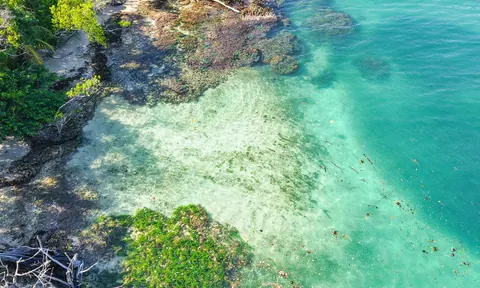Oceanfront Wilderness Land/Plots Beach Front Sea View, ---- bedrooms in Bluff–Drago, Isla Colón, Bocas del Toro property for sale For Super Rich