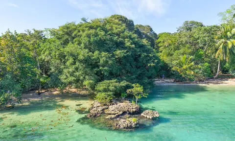 Oceanfront Wilderness Land/Plots Beach Front Sea View, ---- bedrooms in Bluff–Drago, Isla Colón, Bocas del Toro price for sale For Super Rich