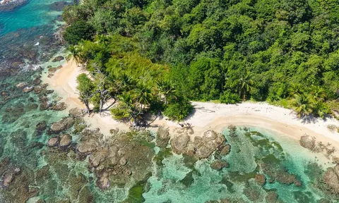 Oceanfront Wilderness Land/Plots Beach Front Sea View, ---- bedrooms in Bluff–Drago, Isla Colón, Bocas del Toro value for sale For Super Rich