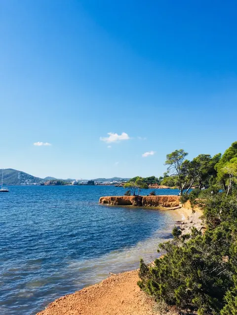 Luxury Villa Beach Front Panoramic View, 9 bedrooms in santa eulalia del rio - ibiza properties for sale For Super Rich