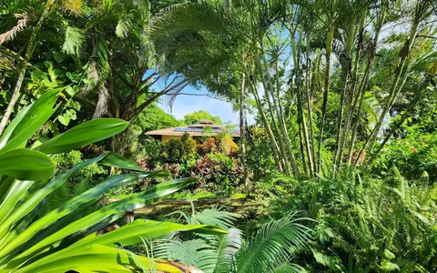 Colonial Tropical Retreat Hotel Beach Front Sea View, 10 bedrooms in Bluff Beach, Isla Colón, Bocas del Toro property for sale For Super Rich Colonial Tropical Retreat Hotel Beach Front Sea View, 10 bedrooms in Bluff Beach, Isla Colón, Bocas del Toro property for sale For Super Rich