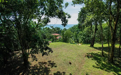 Colonial Tropical Retreat Hotel Beach Front Sea View, 10 bedrooms in Bluff Beach, Isla Colón, Bocas del Toro luxury for sale For Super Rich Colonial Tropical Retreat Hotel Beach Front Sea View, 10 bedrooms in Bluff Beach, Isla Colón, Bocas del Toro luxury for sale For Super Rich