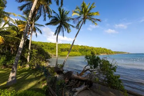 Luxury Hotel Beach Front Sea View, 7 bedrooms in St. David prix for sale For Super Rich