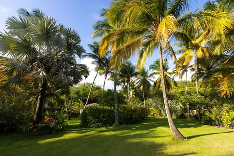 Luxury Hotel Beach Front Sea View, 7 bedrooms in St. David ads for sale For Super Rich