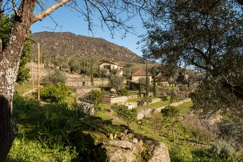 Country Ranch/Farm Mountain View vineyards, 5 bedrooms in Linhares - Bragança Used for sale For Super Rich