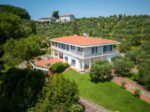 Colonial-style House Panoramic View 10-hectare park, 6 bedrooms in Massarosa ITO2664 for sale For Super Rich