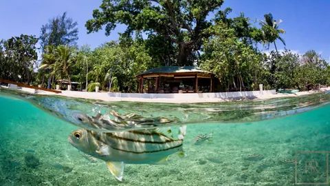 Luxury House Beach Front Private Beach, 8 bedrooms in Tahiti top for sale For Super Rich
