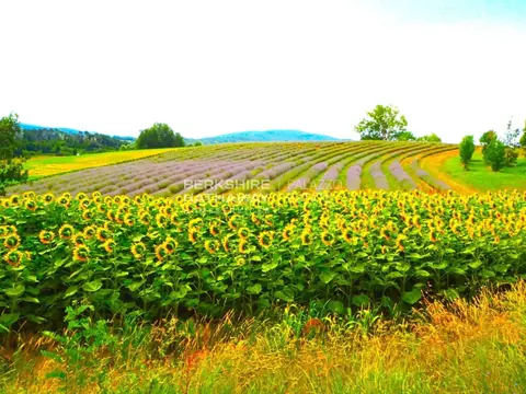 Country Villa Panoramic View, Coming soon bedrooms in Gambassi Terme best for sale For Super Rich