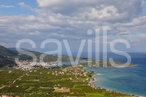 Country Ranch/Farm Vineyard views private forest, 11 bedrooms in Peloponnese exclusive for sale For Super Rich