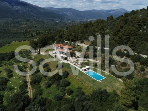 Country Ranch/Farm Vineyard views private forest, 11 bedrooms in Peloponnese