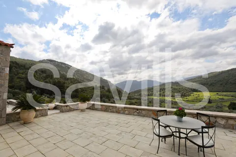 Country Ranch/Farm Vineyard views private forest, 11 bedrooms in Peloponnese ads for sale For Super Rich