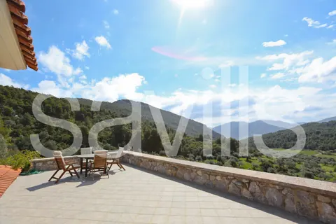 Country Ranch/Farm Vineyard views private forest, 11 bedrooms in Peloponnese image for sale For Super Rich