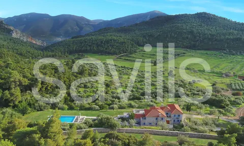 Country Ranch/Farm Vineyard views private forest, 11 bedrooms in Peloponnese Used for sale For Super Rich