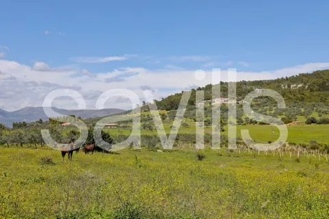 Country Ranch/Farm Vineyard views private forest, 11 bedrooms in Peloponnese photo for sale For Super Rich