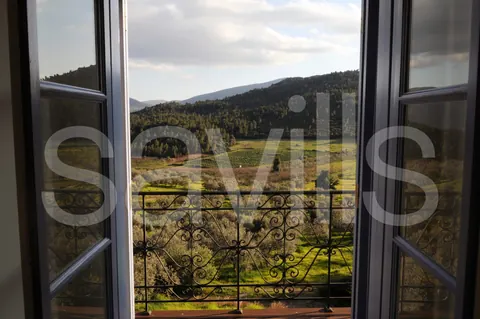 Country Ranch/Farm Vineyard views private forest, 11 bedrooms in Peloponnese price for sale For Super Rich