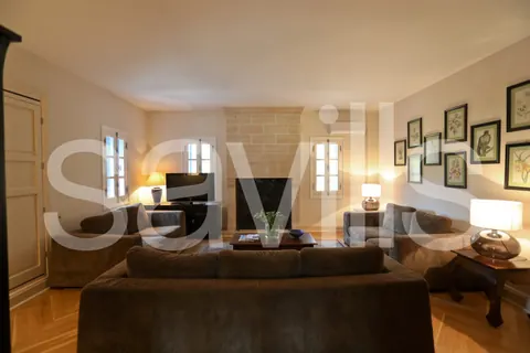 Country Ranch/Farm Vineyard views private forest, 11 bedrooms in Peloponnese deal for sale For Super Rich