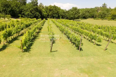 Luxury Complex Business Panoramic View on the hills, 9 bedrooms in Siena - Tuscany best for sale For Super Rich