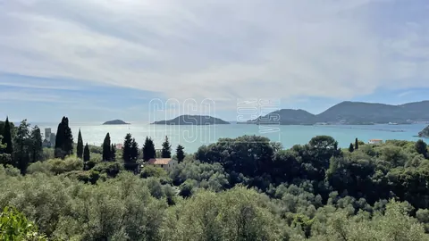 Century Villa Panoramic View Buit in 1800, 10 bedrooms in Lerici photos for sale For Super Rich