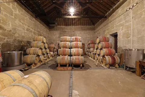 Country Ranch/Farm Mountain View vineyards, 5 bedrooms in Linhares - Bragança property for sale For Super Rich