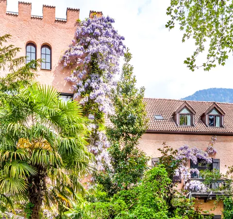 Luxury Castle Panoramic View and Mountain view, 8 bedrooms in Merano South Tyrol Classified ads for sale For Super Rich