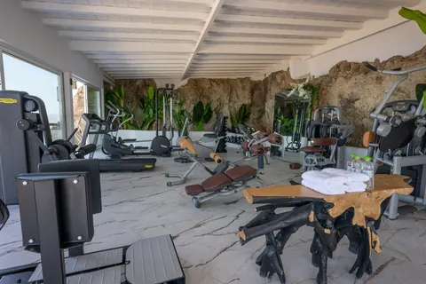 Premium Hotel Panoramic sea view overlooking the Aegean, Tennis court, 29 bedrooms in Mykonos prix for sale For Super Rich