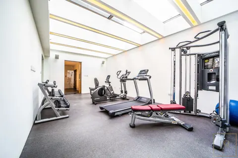 Luxury Villa Panoramic View state-of-the-art amenities, 8 bedrooms in District One - Dubai luxury for sale For Super Rich