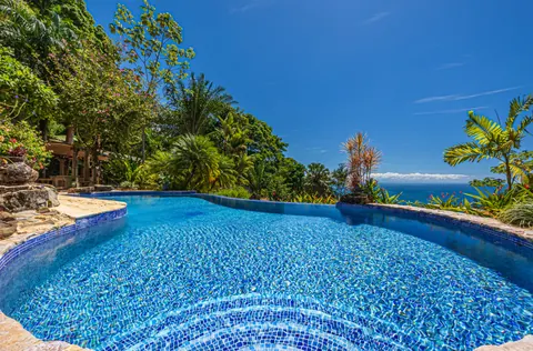 Luxury Villa Panoramic View, 7 bedrooms in Dominical top for sale For Super Rich