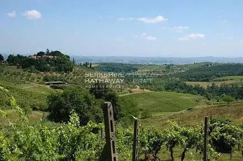 Country Ranch/Farm  vineyard with adjoining cellar, 23 bedrooms in Castelfiorentino value for sale For Super Rich