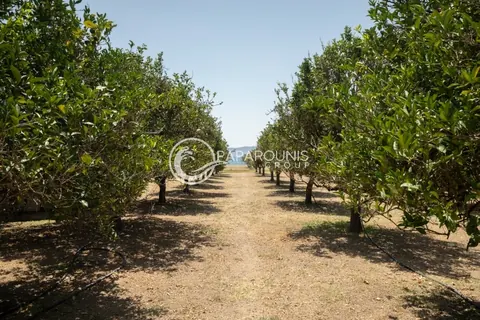 Luxury Villa Beach Front  sea view to the Saronic Islands, 6 bedrooms in Ermioni image for sale For Super Rich