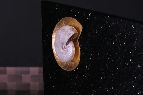 Magnetischer Messerblock von TYCOON STONE SCHMIDKE mit einem Ammoniten auf Star Galaxy Gold price country for sale For Super Rich Magnetischer Messerblock von TYCOON STONE SCHMIDKE mit einem Ammoniten auf Star Galaxy Gold price country for sale For Super Rich